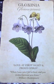 Botanical Inspirations Deck & Book Set